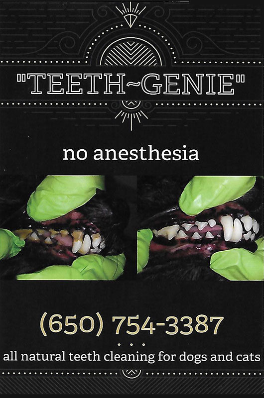 teeth-geenie-800