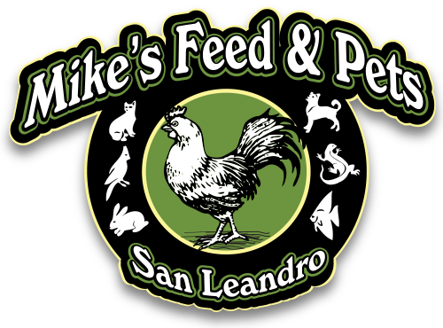 logo_500