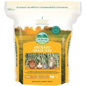 Oxbow Orchard Grass Hay for Small Animals