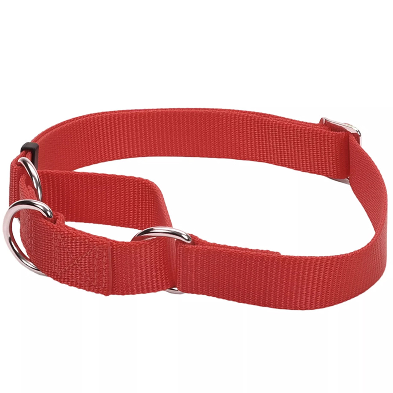 Coastal Pet Red No! Slip Martingale Adjustable Dog Collar