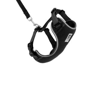 RC Pets Adventure Kitty Cat Harness