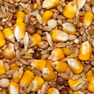 PIGEON 11% ECON WH CORN