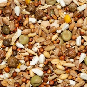 PIGEON 15% ECON WH CORN