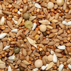 PIGEON 12% ECON WH CORN