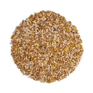 S&P ORGANIC LAYER FEED 16%