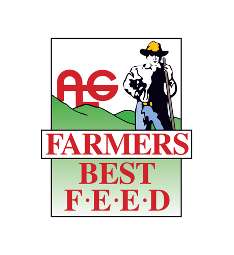 LAY CRUMBLES - Image 2