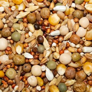 PIGEON 14% ECON WH CORN