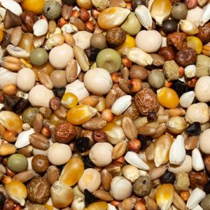 PIGEON 17% ECON WH CORN