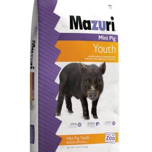 MAZURI MINI PIG YOUTH