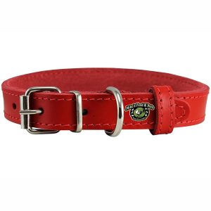 5/16" MAJESTIC JEWELLED COLLAR