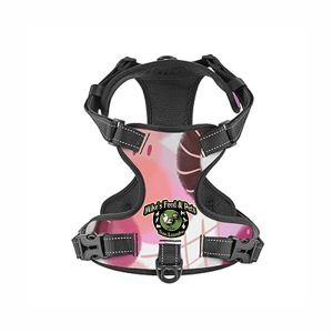 DOOGLE HARNESS W/CLIP & HANDLE