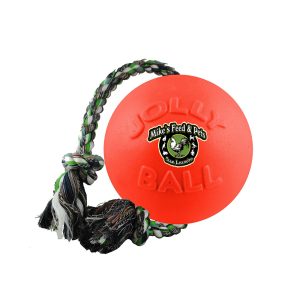 ROMP N ROLL JOLLY BALL+ROPE