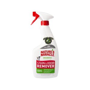 NM STAIN+ODOR REMOVER SPRAY