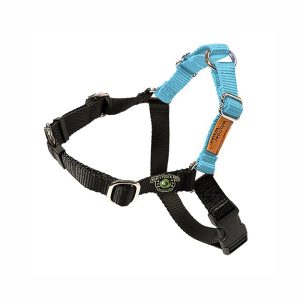 WONDER WALKER HALTER TOY