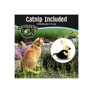 ETH SPOT SONGBIRD WCATNIP